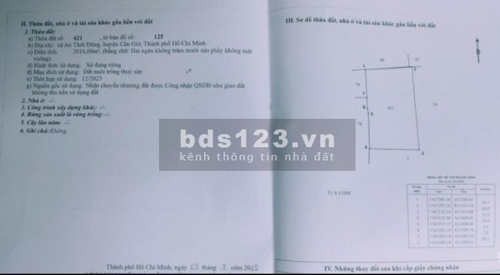 Cần bán gấp 2016m2 tại xã An Thới Đông, huyện Cần Giờ giá 1,1tr/m2