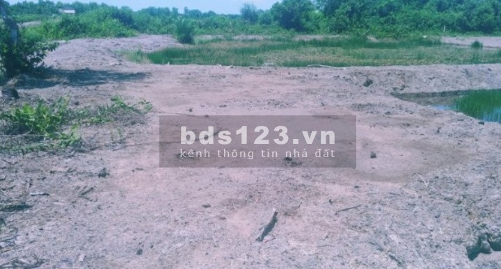 Cần bán gấp 2016m2 tại xã An Thới Đông, huyện Cần Giờ giá 1,1tr/m2
