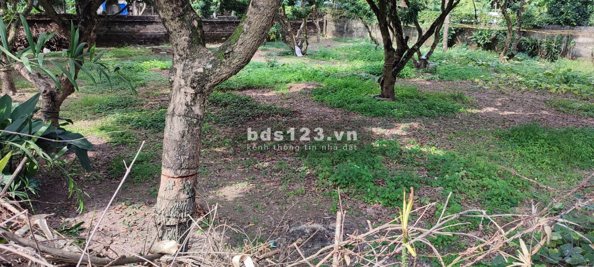 Siêu phẩm đất nền sổ đỏ 724 m2 2 mặt đường rộng 4m, thôn Độ Chàng, Đại Thành, Quốc Oai HN bán gấp