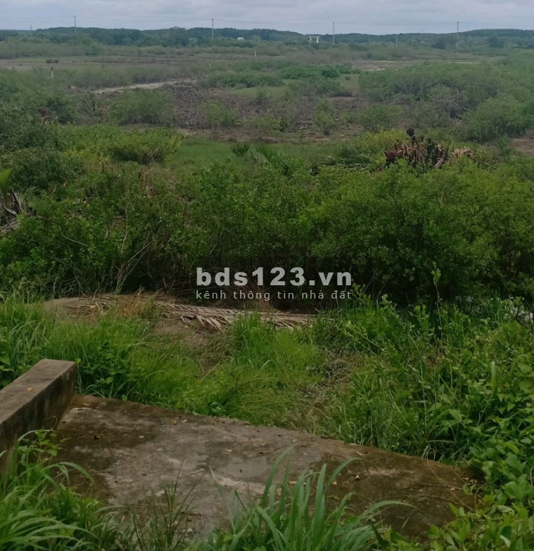 Cần bán 6000m2 tại Lý Nhơn - Cần Giờ - TPHCM
