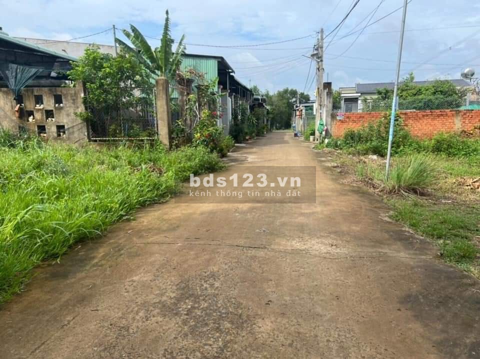 Về quê bán gấp miếng đất 300m2 giá 299 triệu