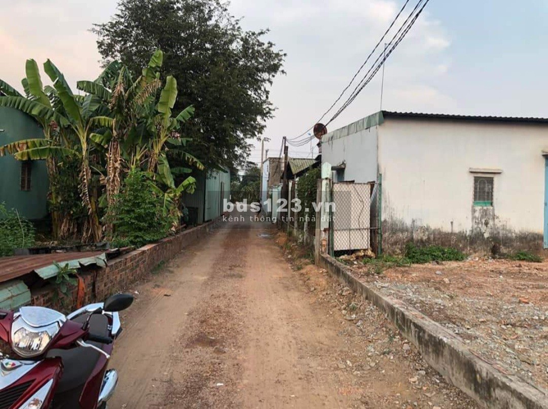 Bị xiết nợ cần bán gấp 300m2 thổ cư giá 250 triệu