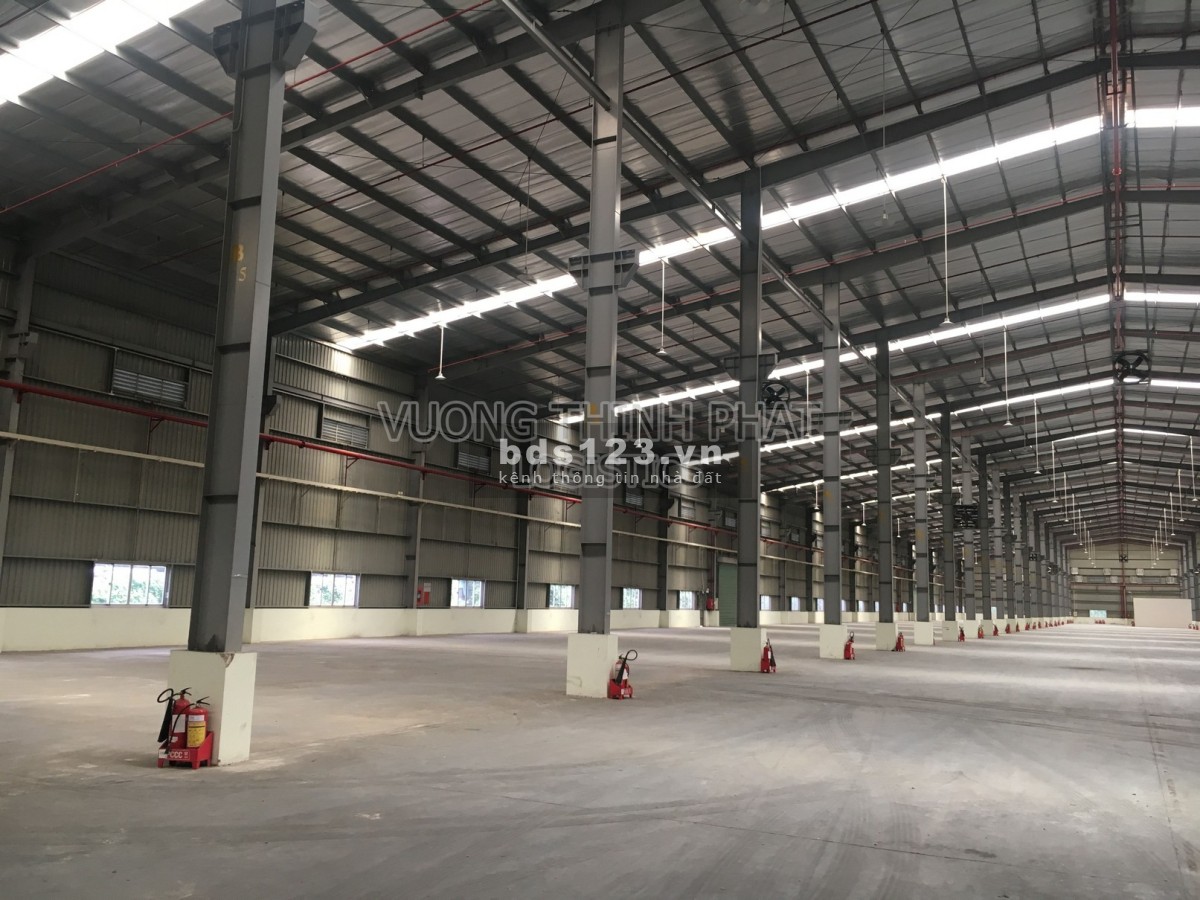 Cho thuê kho xưởng 12.000M2 đường Trần Đại Nghĩa, Bình Chánh, giá tốt nhất khu vực BÌnh Chánh