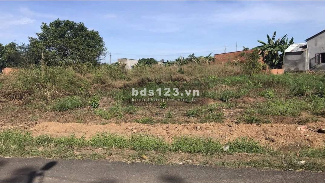 Trả vay nặng lãi cần bán gấp hơn 300m2 giá 249 triệu