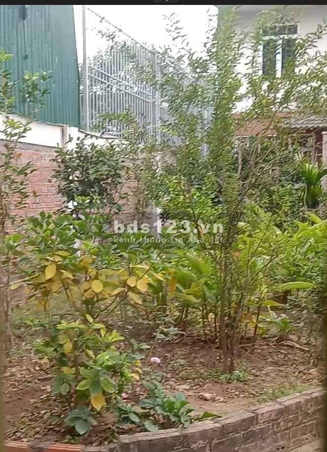 Chủ bán nhà phố An Dương -Tây Hồ, ngõ thoáng, sân riêng, tiện ích ngập tràn, 55m2, 2.8 tỷ