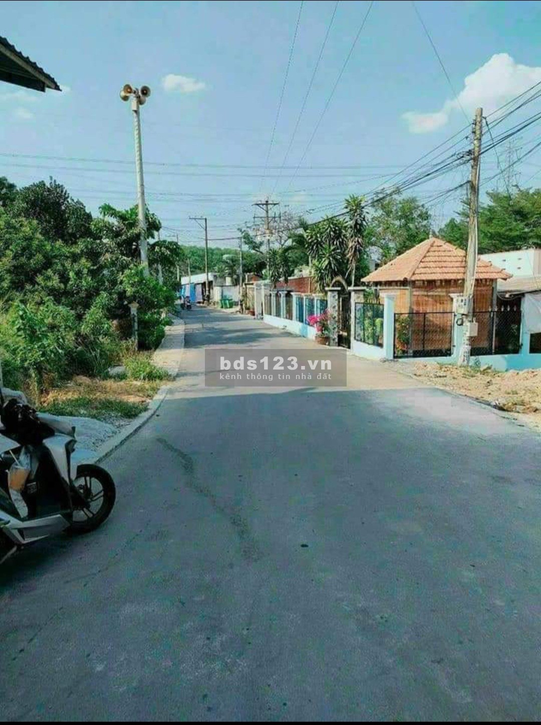 Bán lỗ nửa giá trả nợ ngân hàng 250 - 249 triệu/SHR