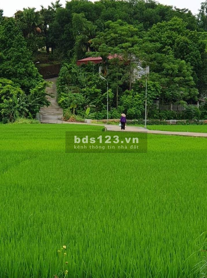 Bán mảnh đất vườn ở Đại Lai 1, Phú Xuân, tp.Thái Bình