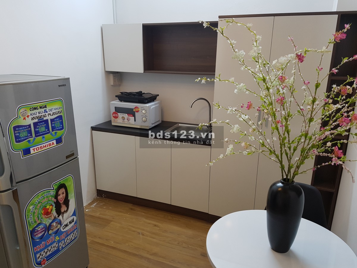 CHDV full nt giá tốt trung tâm quận 1, mặt tiền đường ô tô.