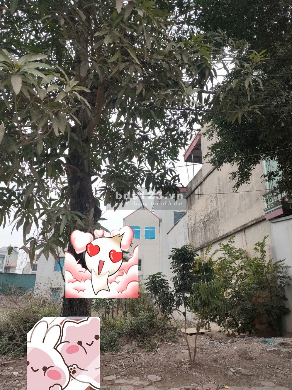 3.5 tỷ 139m2 siêu đẹp tại Tiên Sơn Bắc Ninh sổ đỏ chính chủ