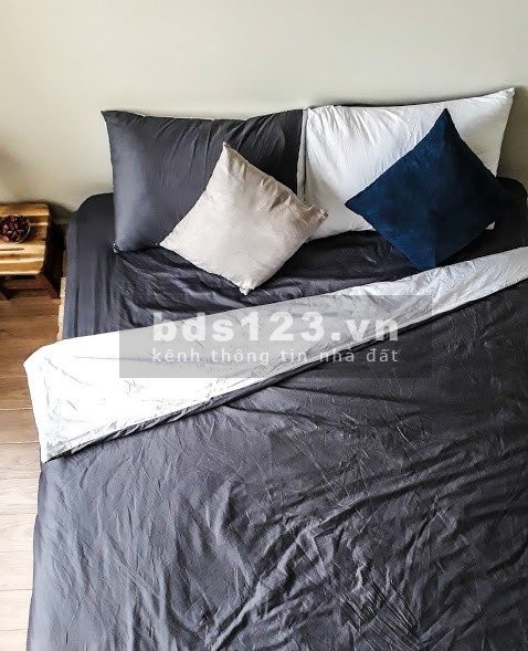 Cho thuê Masteri Thảo Điền 2PN full NT nhà đẹp 18TR vào ở ngay