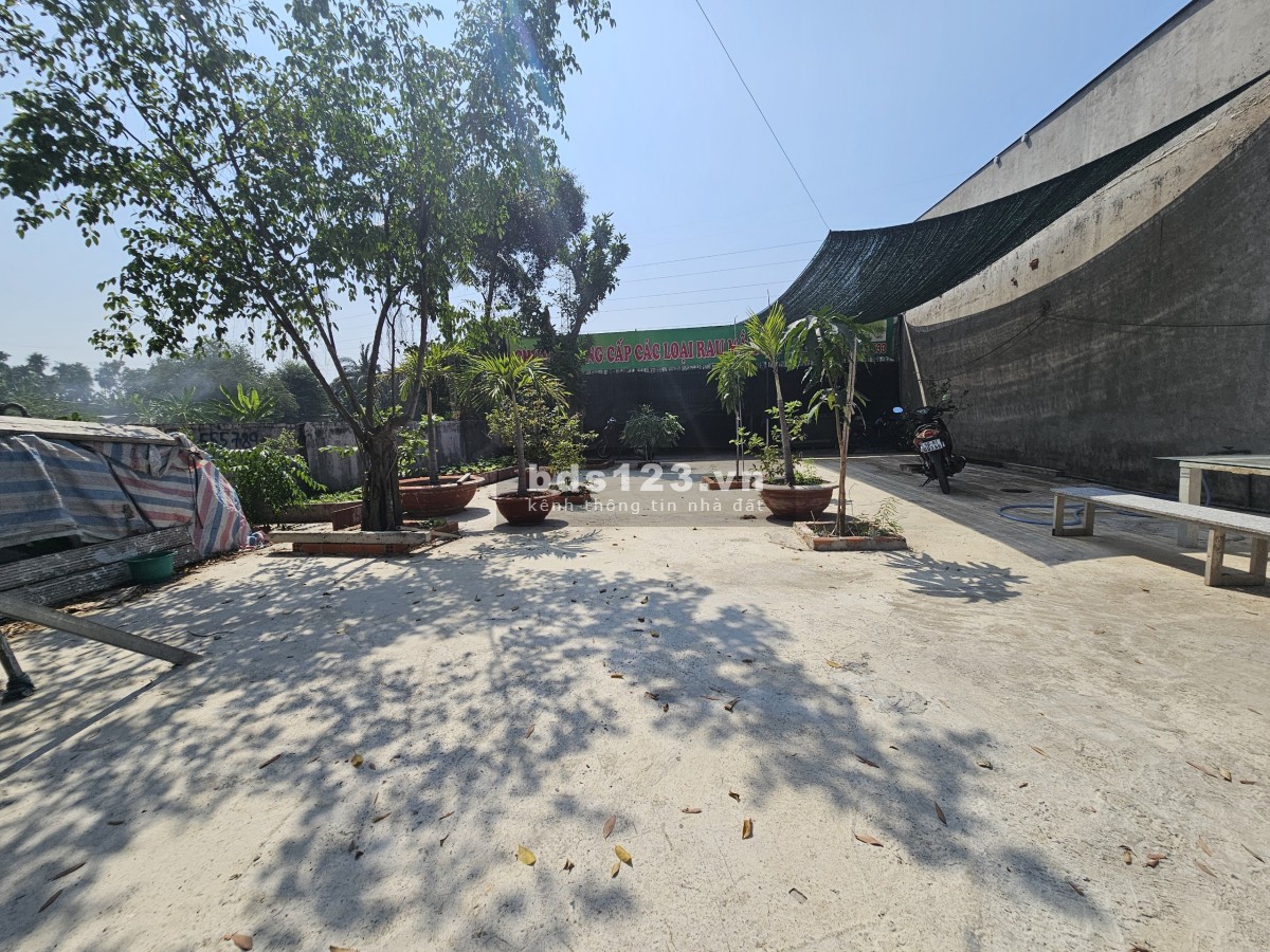 Cho thuê lô đất 250m2, 7 Triệu tại đường Tam Bình, phường Hiệp Bình Chánh, Thủ Đức