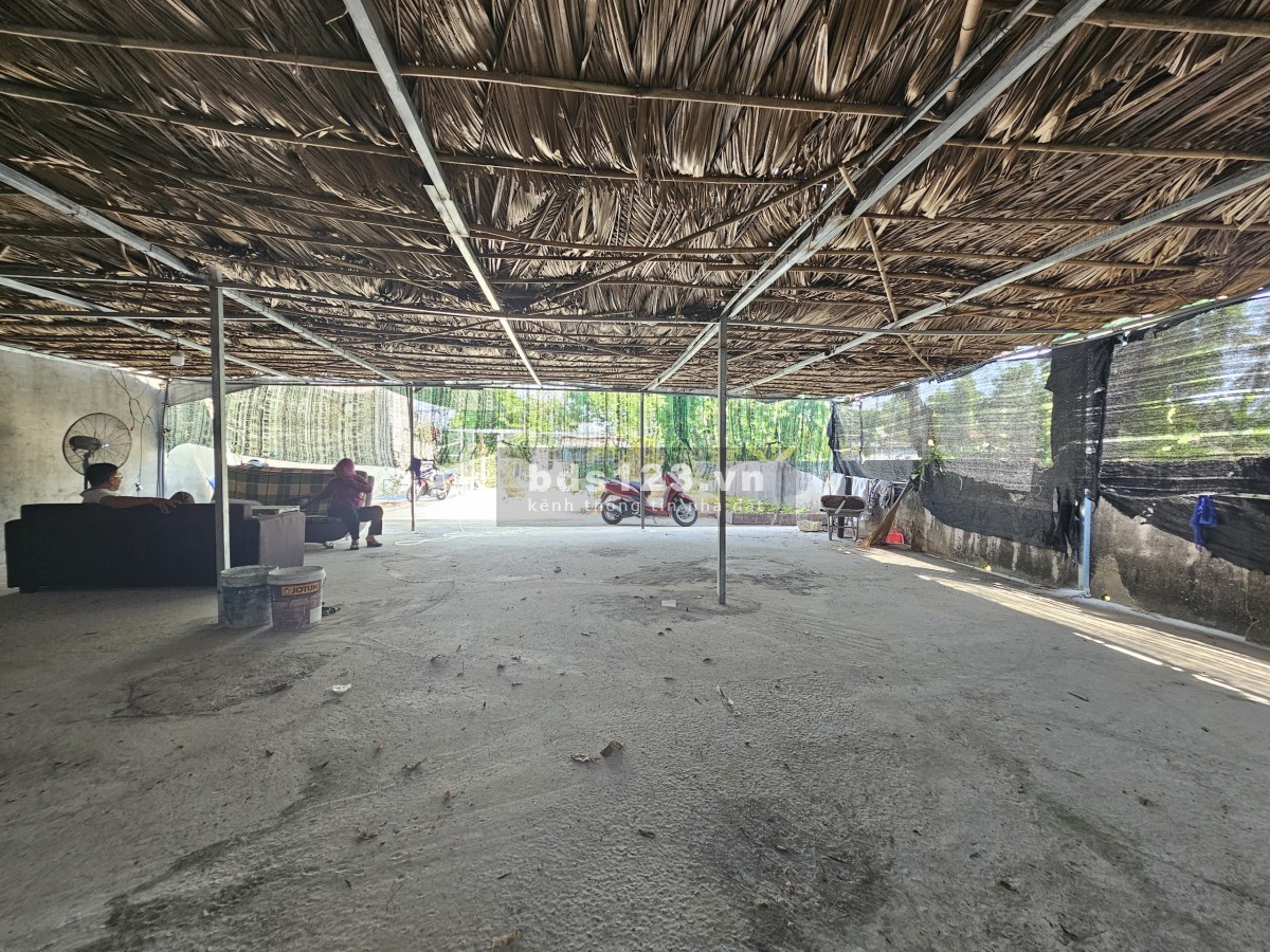 Cho thuê lô đất 250m2, 7 Triệu tại đường Tam Bình, phường Hiệp Bình Chánh, Thủ Đức