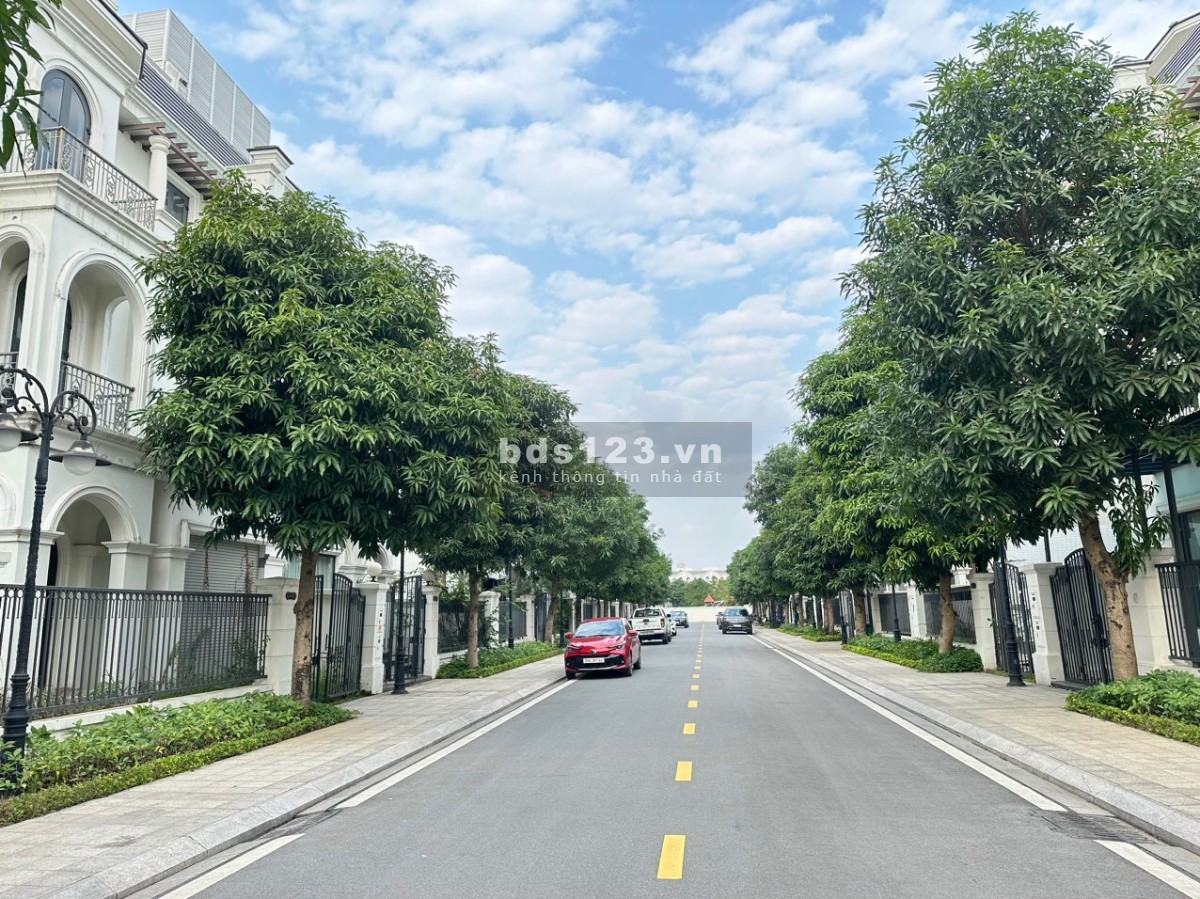 Chuyển nhượng biệt thự đơn lập 288m2, để ở đẹp nhất ngọc trai đảo lớn, Vinhomes Ocean Park