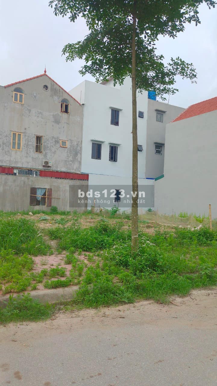 Thanh toán chỉ hơn 900tr sở hữu đất ở KDT New City Phố Nối Hưng Yên mặt tiền 7m
