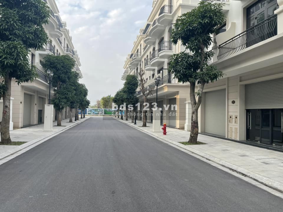 Hàng hiếm VT11 đối diện chung cư, vị trí siêu đẹp 75m mà giá hơn 10,x tỷ Vin 3 Hưng yên