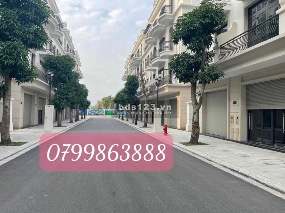Hàng độc quyền, vị trí đẹp, shophouse kinh doanh SB11-05 vin2 Hưng Yên