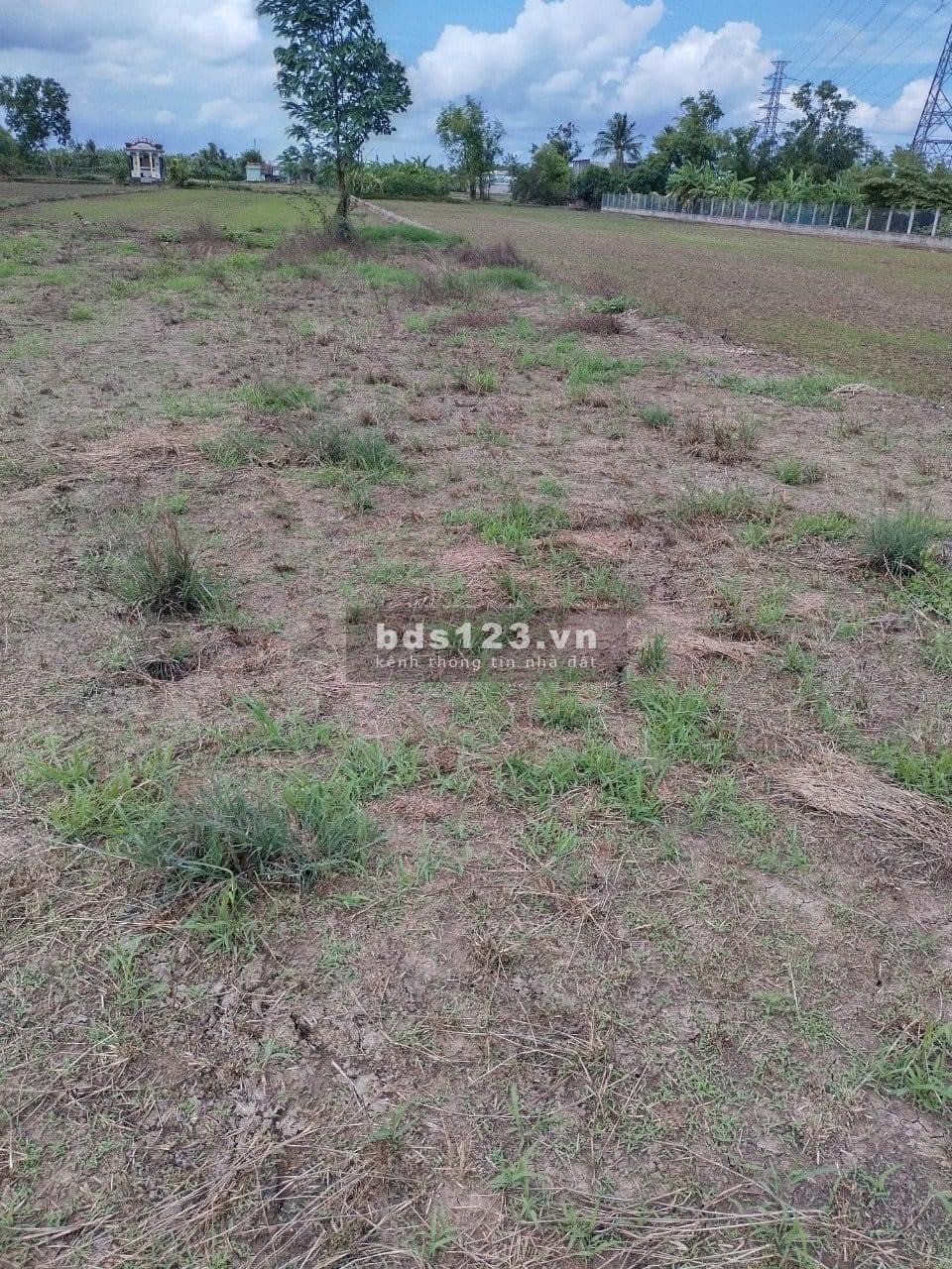 Bán đất, thổ cư lớn, đường 5M, cách trung tâm thị trấn 2km, quốc lộ 50 100M