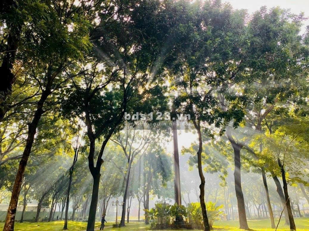 Bán căn hộ 1PN Elysian view hồ bơi vị trí tầng trung giá ưu đãi LH 0906633727