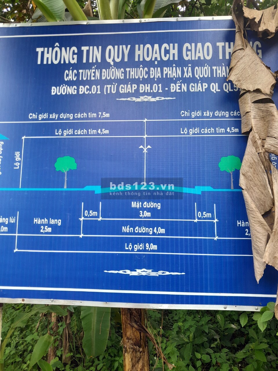 Bán gấp lô đất ở 1300m2. Xã Quới Thành, huyện Châu Thành, tỉnh Bến Tre.