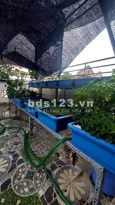 Phân lô cán bộ phố Lạc Trung - Ngõ thông ô tô chạy - Nhà 5 tầng thang máy - Thoáng sau & Gara