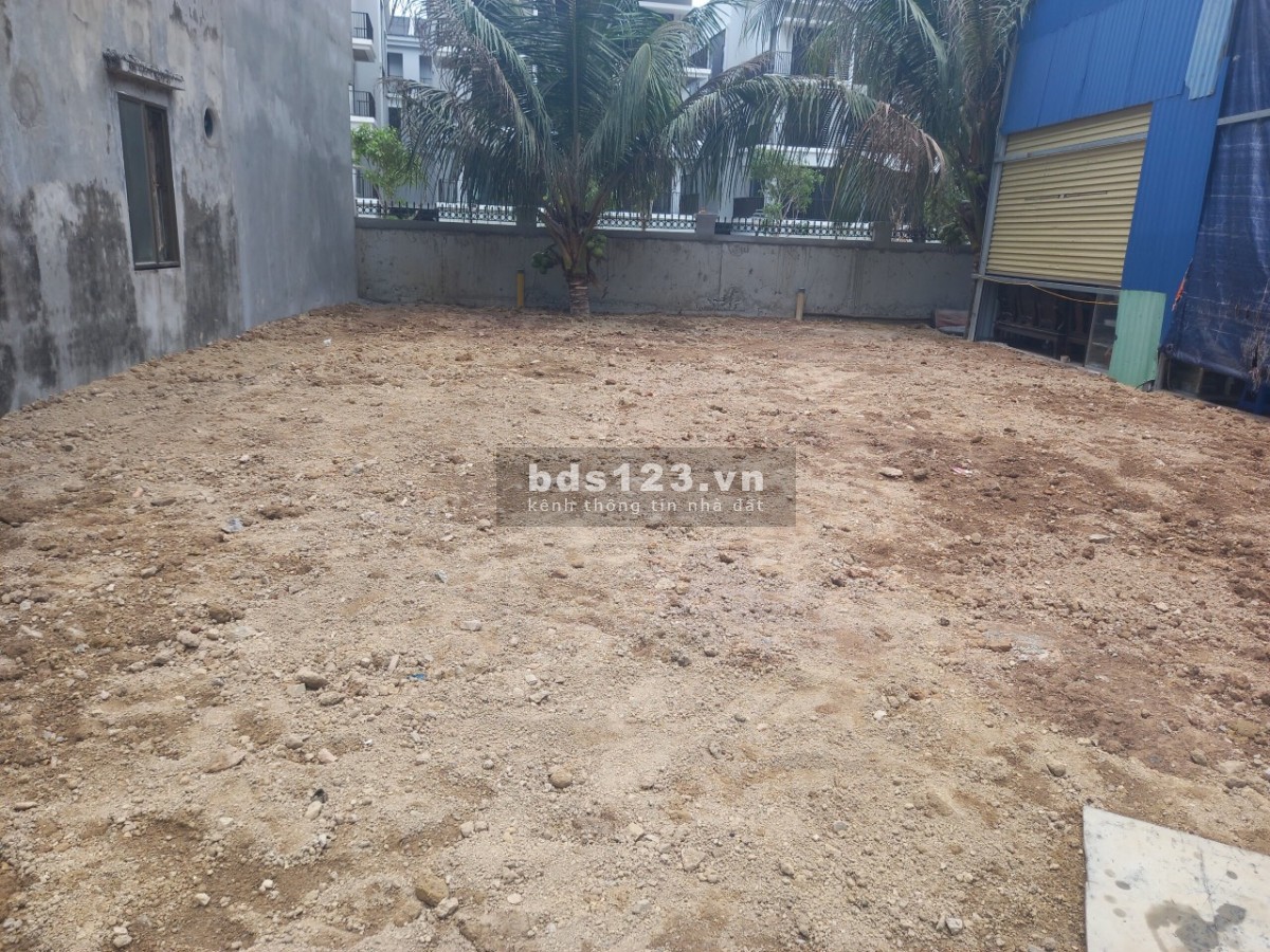 Cho thuê 200m2 mặt đường Thị Trấn Cát Bà