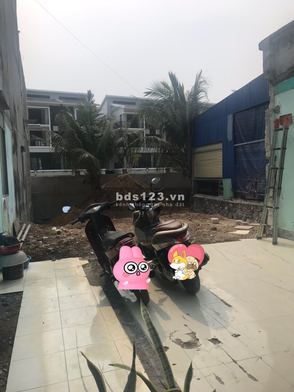 Cho thuê 200m2 mặt đường Thị Trấn Cát Bà