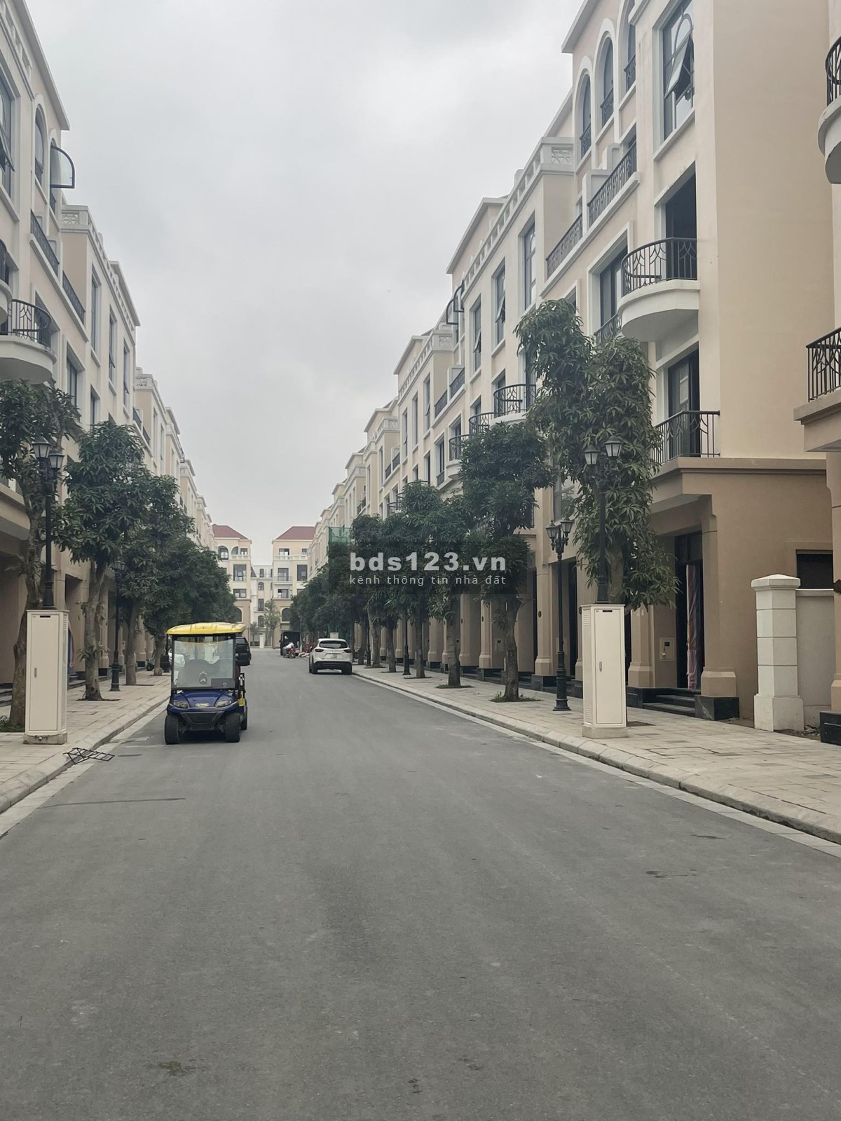 Cọ Xanh 48m Vin2 hàng kí mới CDT giá 4,8ty số lượng có hạn nhanh tay thì còn ạ