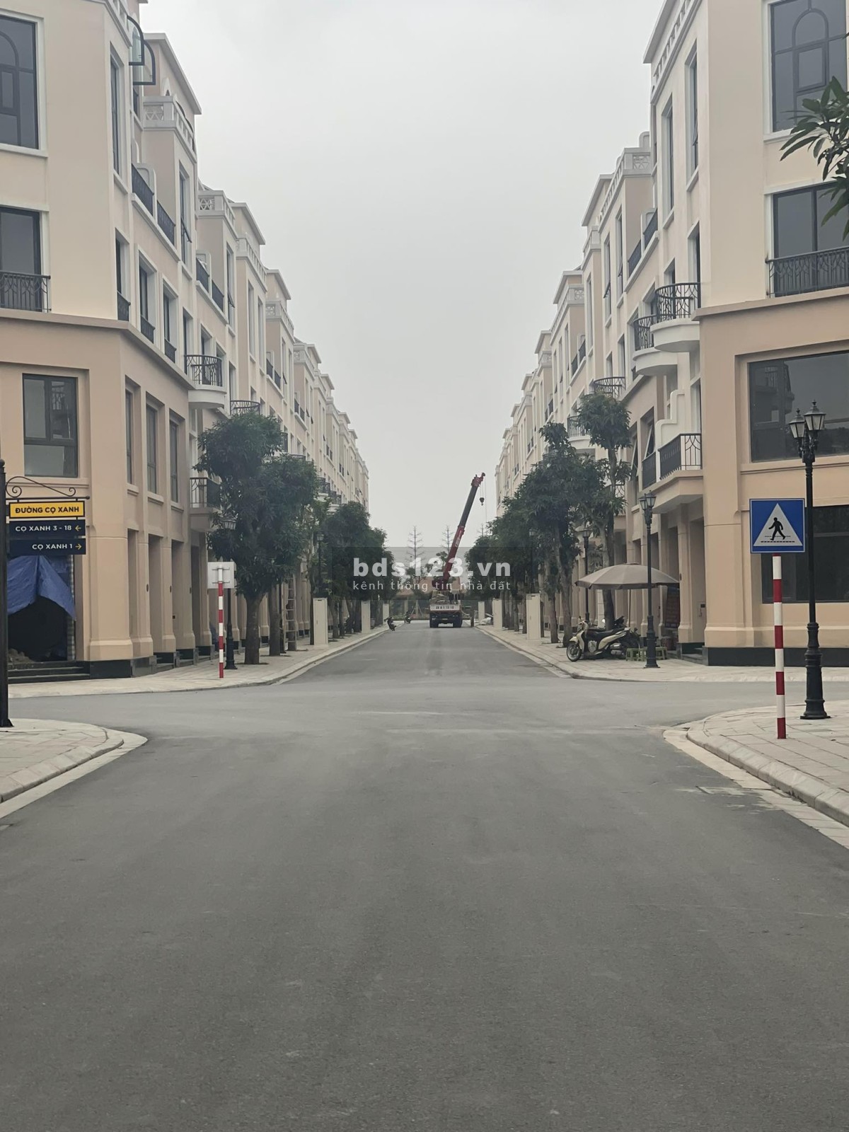 Cọ Xanh 48m Vin2 hàng kí mới CDT giá 4,8ty số lượng có hạn nhanh tay thì còn ạ