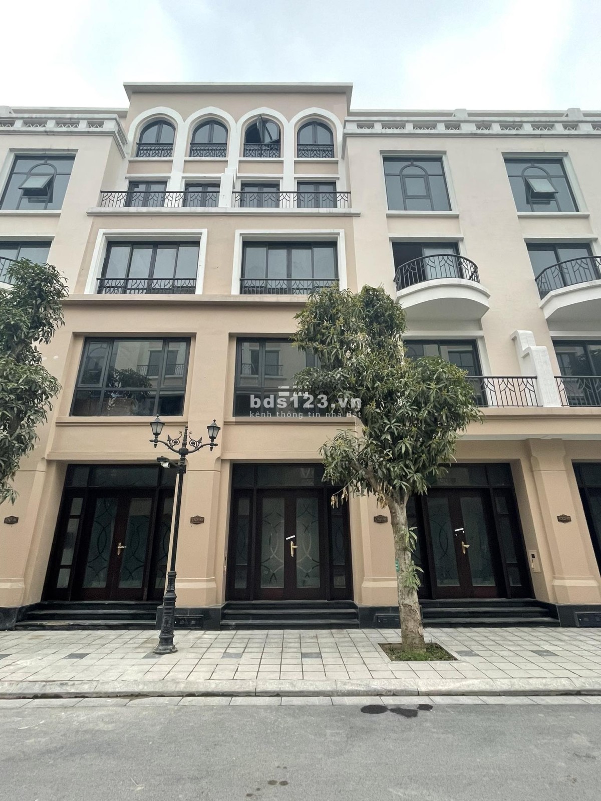 Cọ Xanh 48m Vin2 hàng kí mới CDT giá 4,8ty số lượng có hạn nhanh tay thì còn ạ