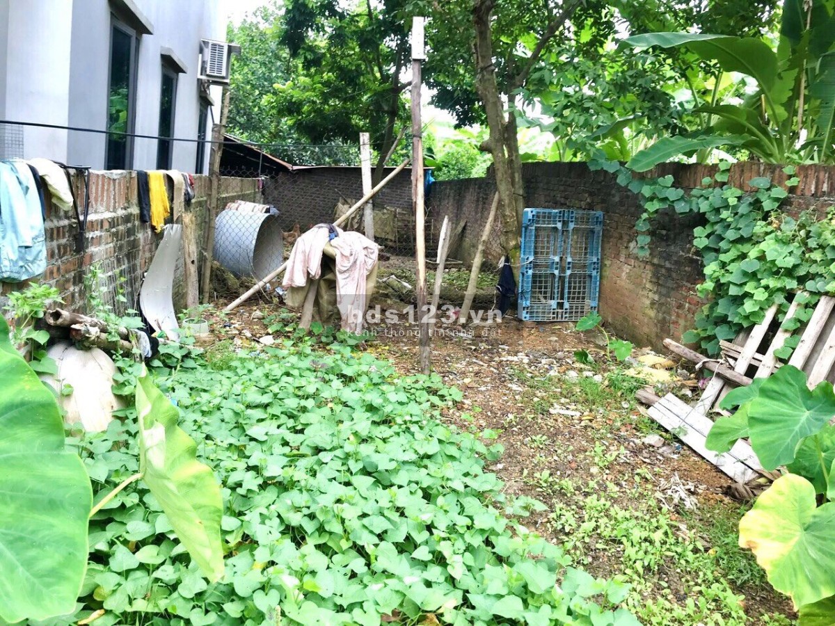 Chính chủ bán 114m2 đất tại Nam Cương - Hiền Ninh - Sóc Sơn Hà Nội.