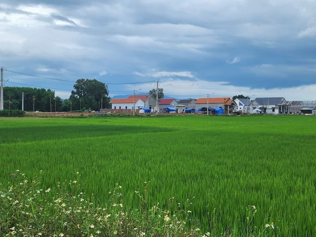 Mỹ Hiệp Phù Mỹ Cần bán đất thôn Đại sơn. Vị trí đẹp giáp quốc lộ 1A và đường tây tỉnh DDT638