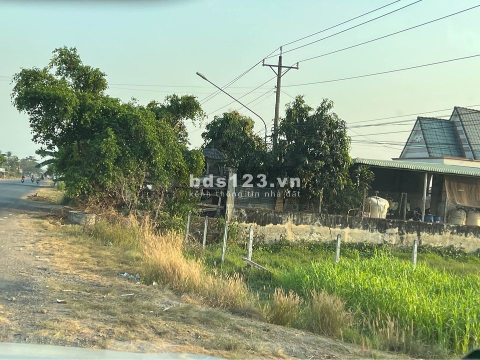 Chính chủ cần bán vườn 1098m2 Bàu Bàng, có nhà cấp 4 rất đẹp