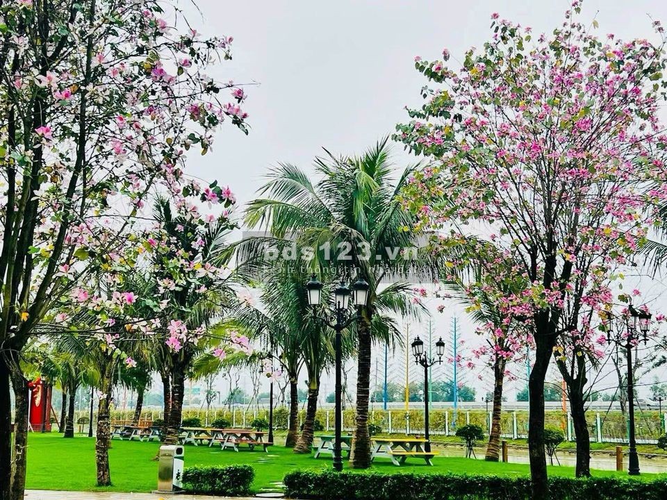 Siêu phẩm biệt thự tứ lập đảo dừa an ninh 24/7 Vin2