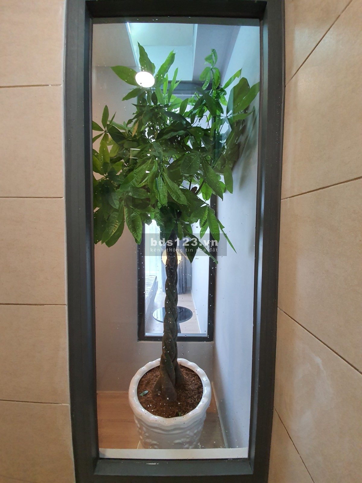 Emerald cho thuê căn hộ 1pn, 1wc nội thất cơ bán giá 10 triệu