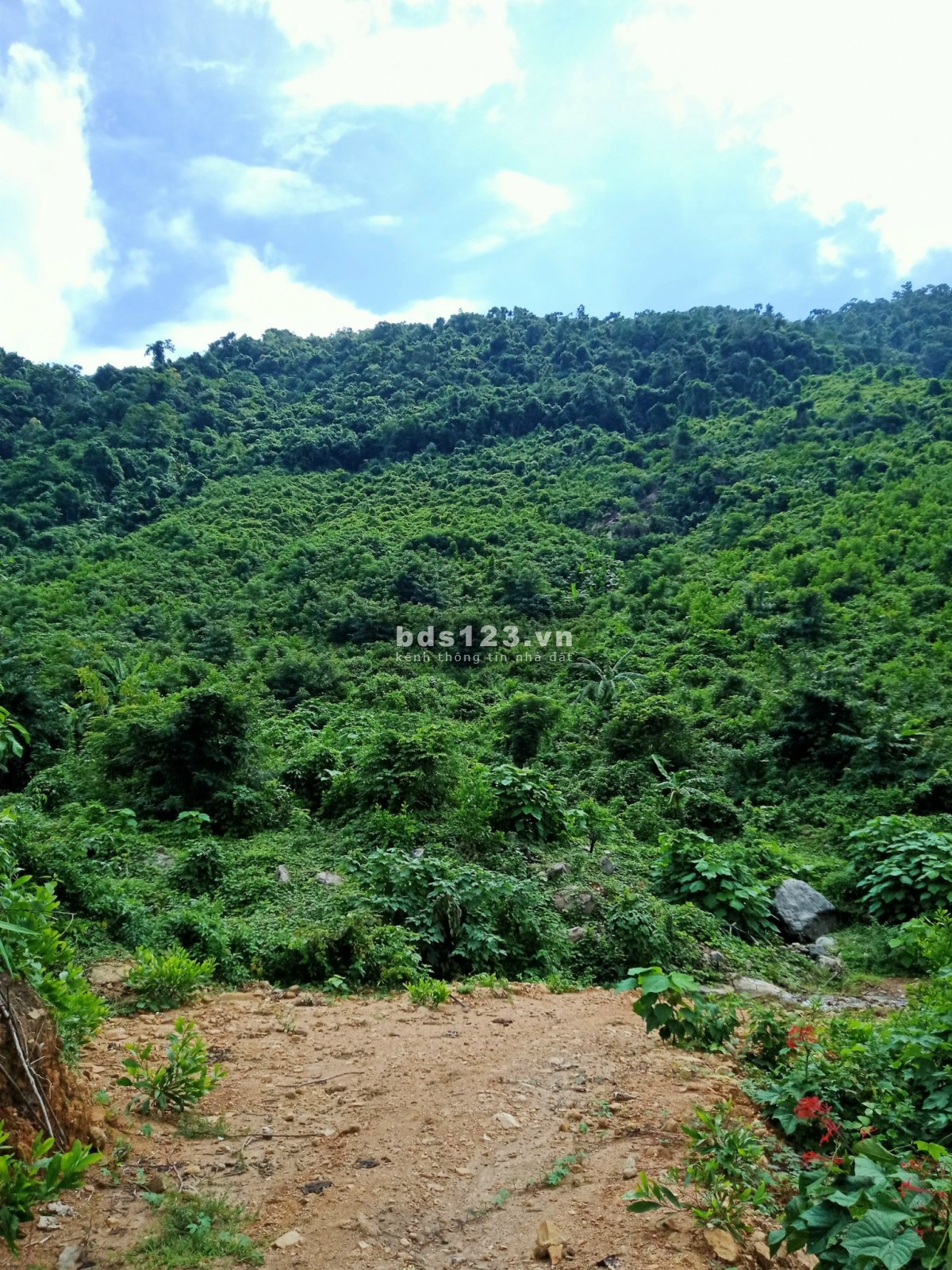 Bán 9.5HA đất rẫy tại xã Hòa Bắc, Đà Nẵng, 4.9 tỷ thương lượng