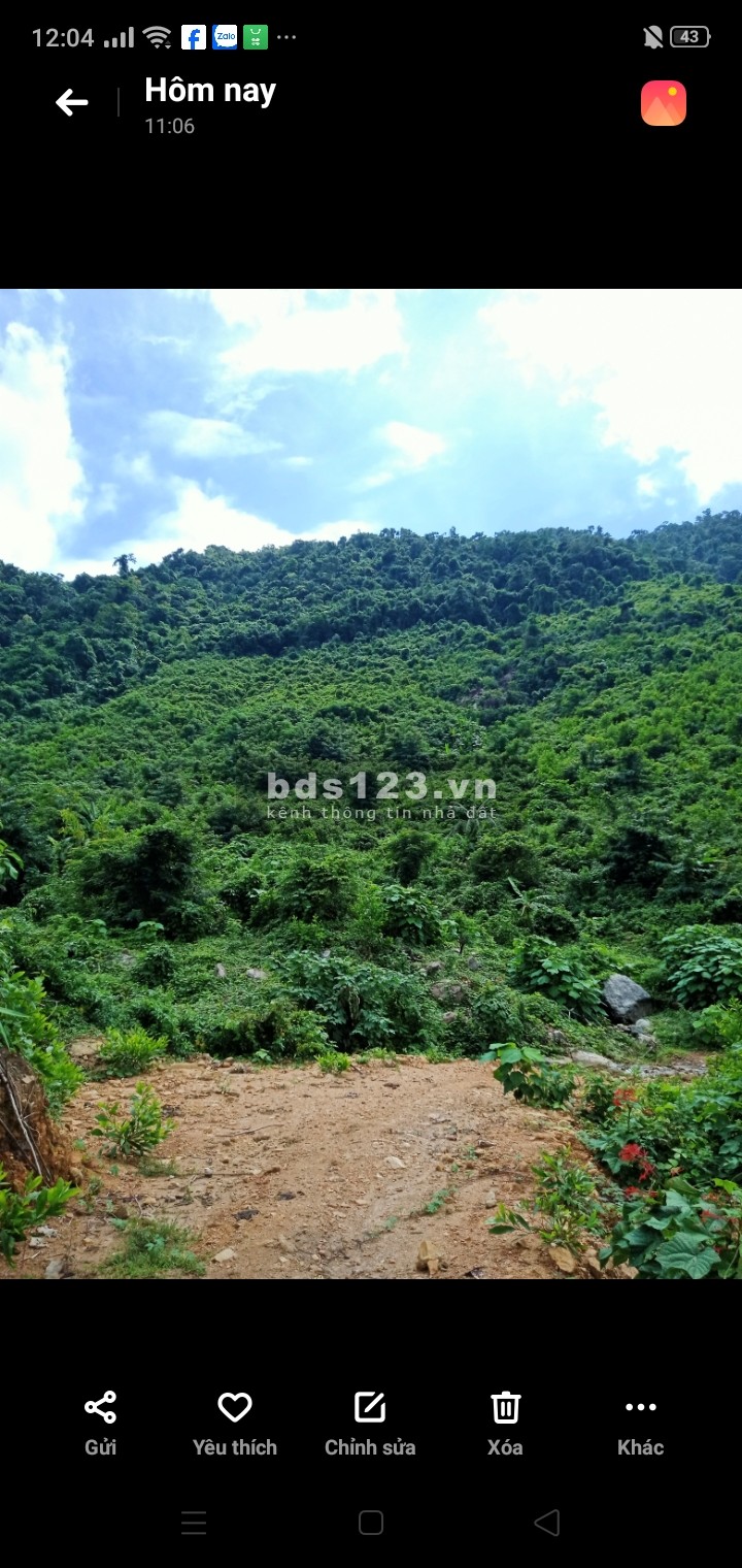 Bán 9.5HA đất rẫy tại xã Hòa Bắc, Đà Nẵng, 4.9 tỷ thương lượng