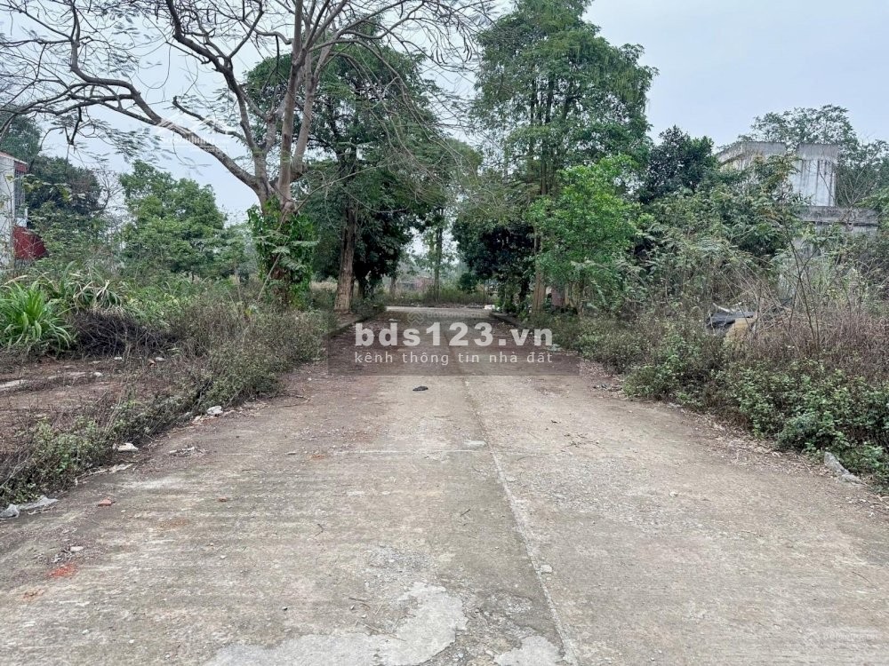 Gia đình cần bán 200m2 ngã tư đường đôi Bắc Phú Cát. Lh 0904821002