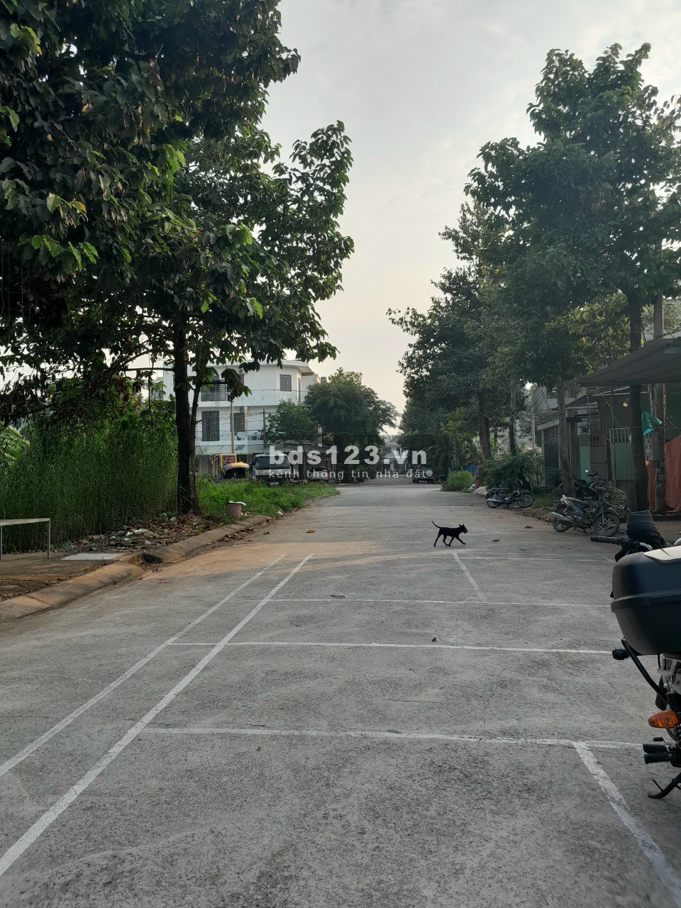 Cần bán 120m2 6x20m, full thổ cư, sổ hồng riêng, đường 8m, dân cư đông, gần ql 13, trường học, chợ.
