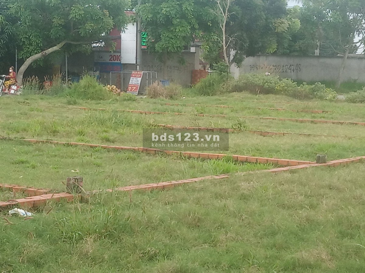 Bán lô đất 1/ Hồ văn Tắng 132.8m (5x26) Tân Phú Trung Củ Chi giá chỉ 1 tỷ450