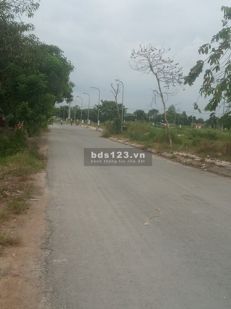 Bán lô đất 1/ Hồ văn Tắng 132.8m (5x26) Tân Phú Trung Củ Chi giá chỉ 1 tỷ450