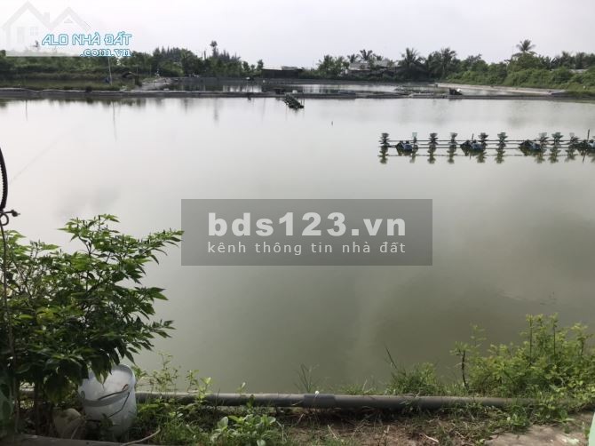Bán 12.900m2 đất MT đường tỉnh DT862 biển Tân Thành, Gò Công Đông, Tiền Giang. Giá 1,5tr/m2 SHR