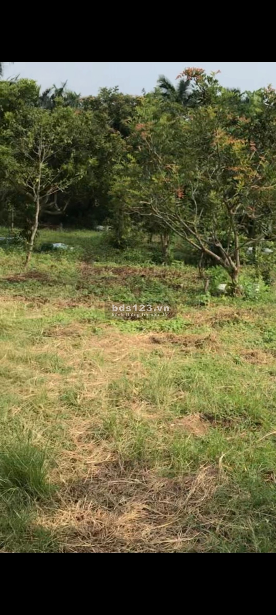 Bán 12.900m2 đất MT đường tỉnh DT862 biển Tân Thành, Gò Công Đông, Tiền Giang. Giá 1,5tr/m2 SHR