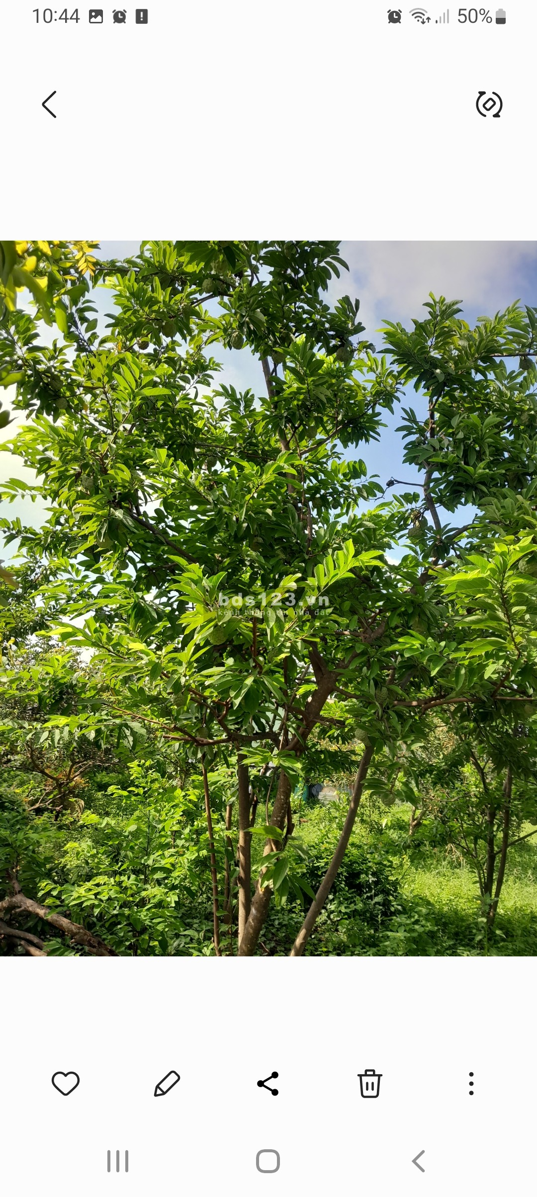 Bán 12.900m2 đất MT đường tỉnh DT862 biển Tân Thành, Gò Công Đông, Tiền Giang. Giá 1,5tr/m2 SHR