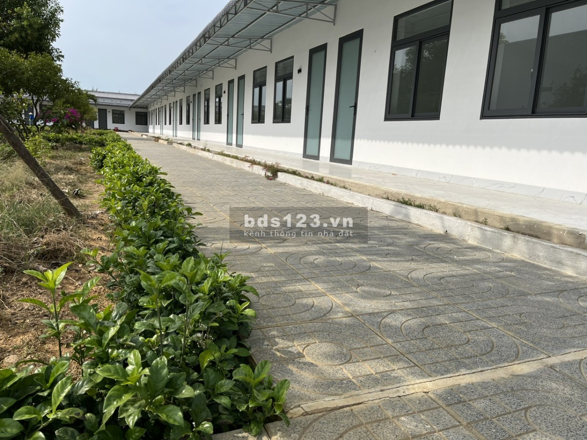 Cho thuê phòng mới xây Hồ Tràm