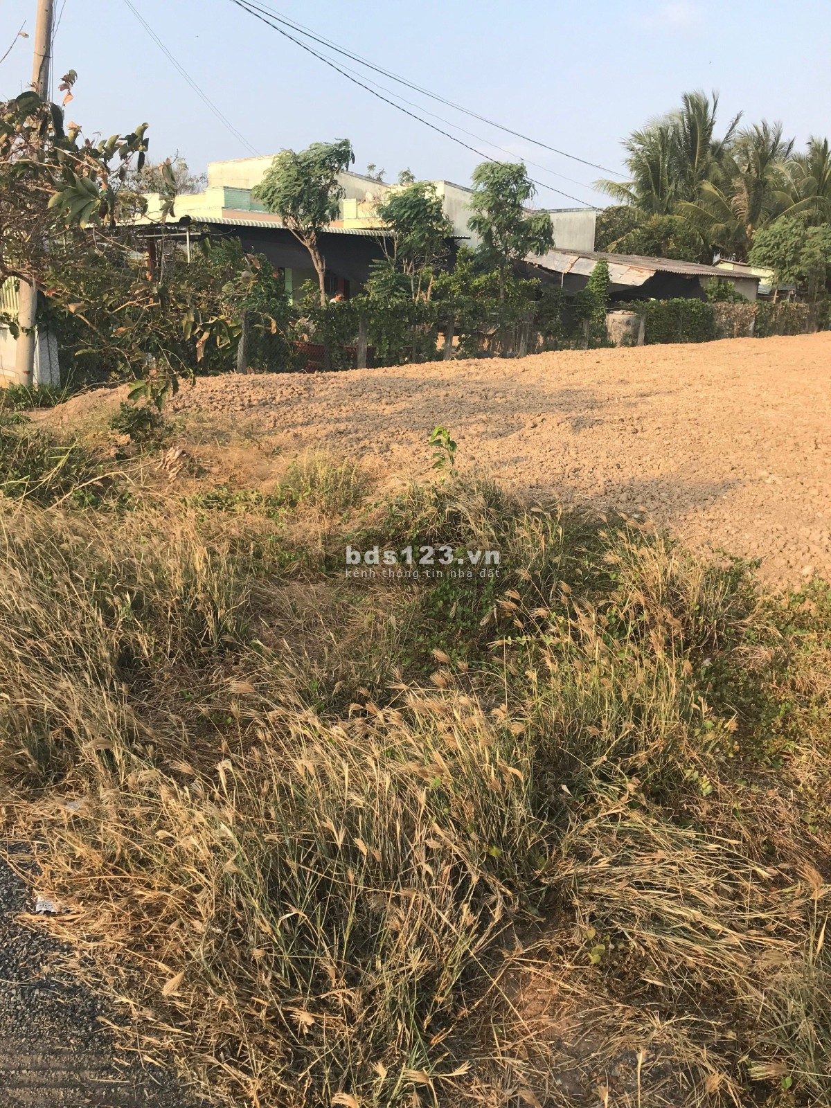 Bán 793m2 đất nền có thổ MT đường huyện DH02, xã Bình Ân huyện Gò Công Đông Tiền Giang, 1,8tr/m2 SHR