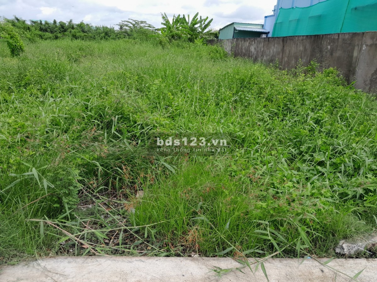 Bán 271m2 đất nền đường tỉnh ĐT873B xã Tân Trung Tp Gò Công Tiền Giang, nở hậu đẹp, sổ riêng 700tr