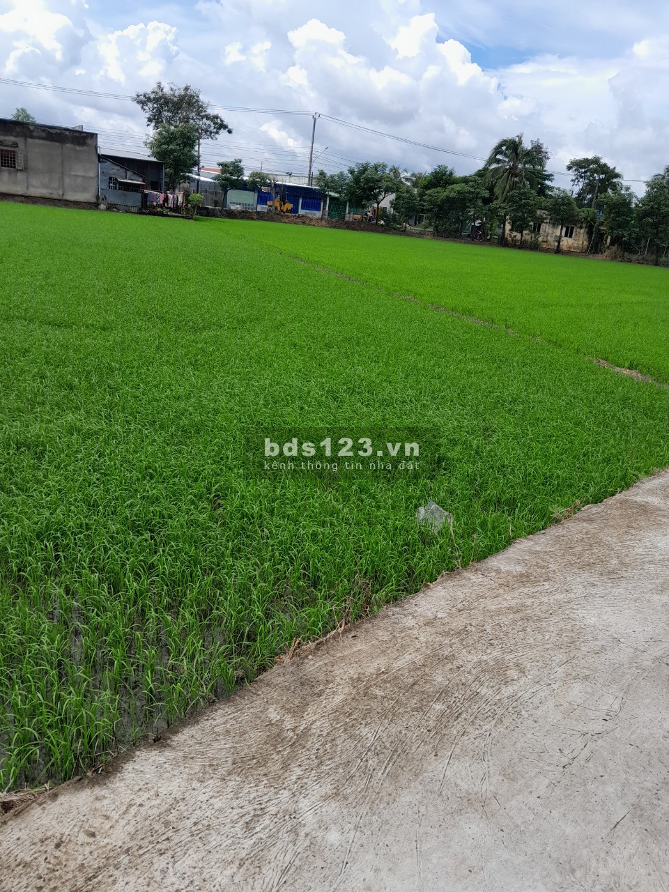 Bán 271m2 đất nền đường tỉnh ĐT873B xã Tân Trung Tp Gò Công Tiền Giang, nở hậu đẹp, sổ riêng 700tr