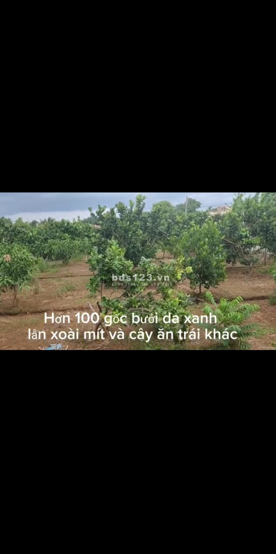 Bán 2.616m2 đất nền tại Gò Công Đông Tiền Giang, tiện phân lô, làm nhà vườn, giá 1,1tr/m2 sổ riêng