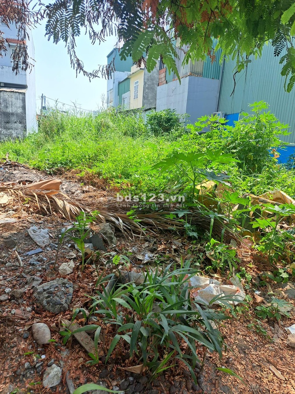 ️ Đất khu phân lô đồng bộ (4x23m), Đường rộng 7m, P. Tân Thới Hiệp, Q12