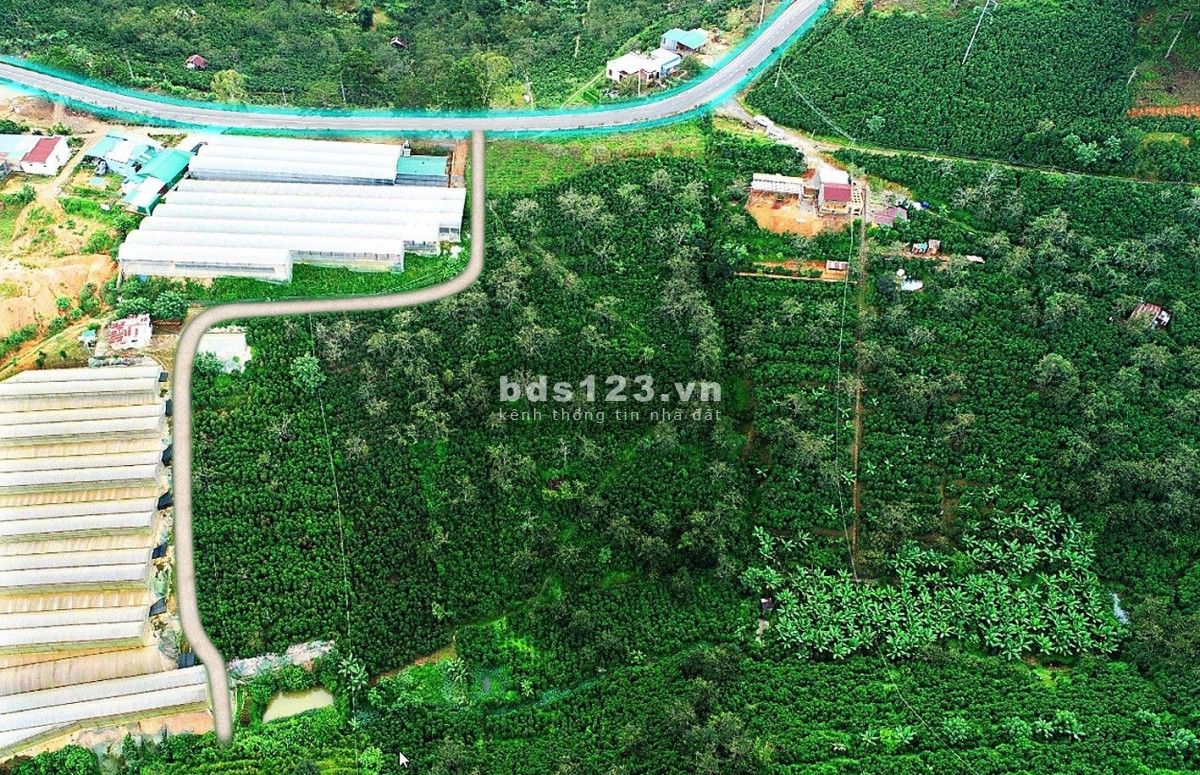Cần tiền bán 1.1HA lô đất Xuân Trường MT QL20 cách chợ Đà Lạt 17KM, 35 tỷ giảm còn 18 tỷ